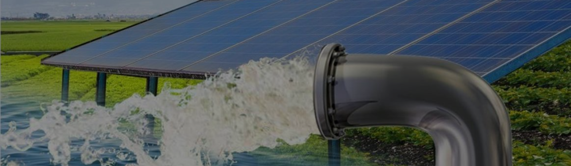 Service Image